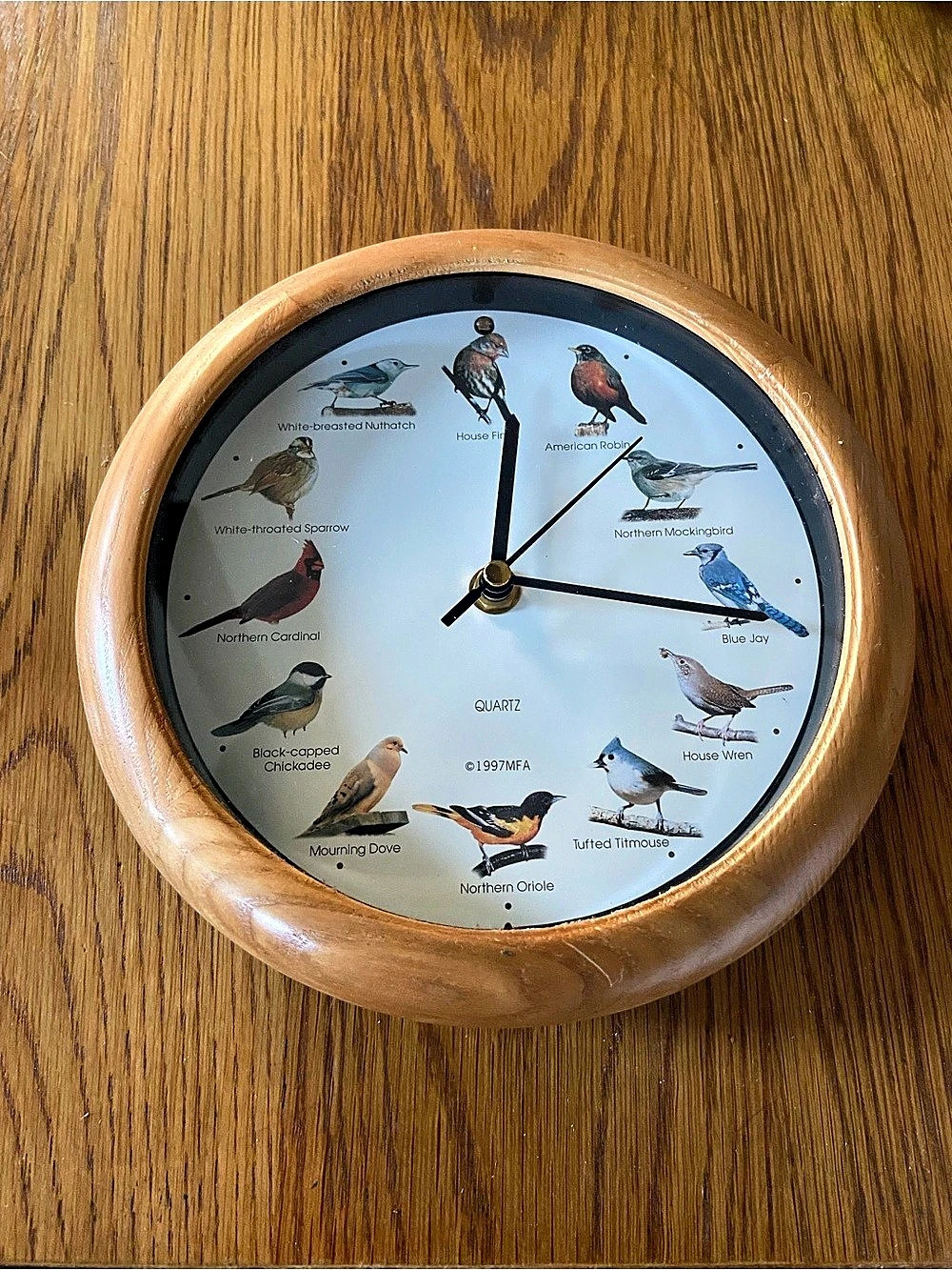 1997 MFA bird clock Wall Clock Brown & White